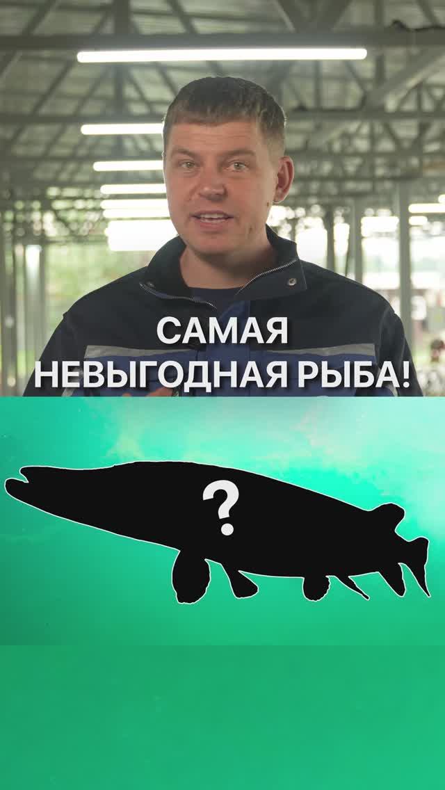 Щука в УЗВ — деньги в никуда. Почему так? Смотри ролик и подписывайся на полезное. смотреть онлайн
