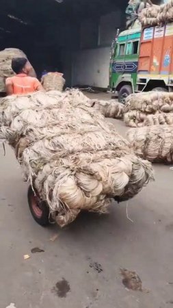 Full process of how jute is made in West Bengal #jute #process #shorts
