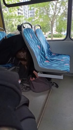 Упоротая школота в трамвае 1