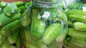 Огурцы поспевают,а я поспеваю заготавливать.