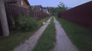 Ходим с Настей подъедаем кусты