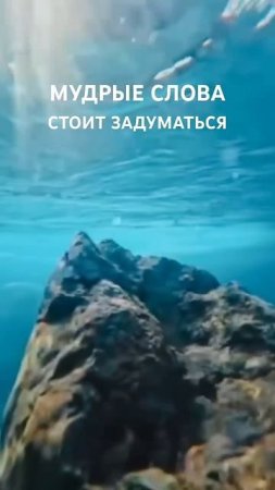 Приходи осознать где ты свернул(а) не туда