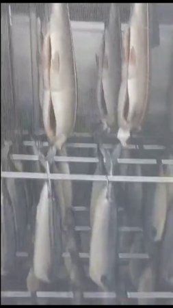 Видео_из_коптильни_Краснодона_Фермерского
