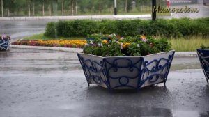 Летний дождь... "МИМОХОДОМ", июль 2019 год. Автор проекта О. Дзиов
