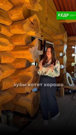 🦷🏠 Сегодня у нас очень необычное сравнение!

Что общего между стоматологом и деревянным домом