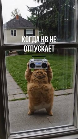 Когда HR не отпускает