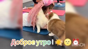 Доброе утро!☀ 🌝⏰