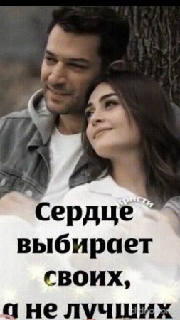 СЧАСТЬЯ ВАМ. Shorts.