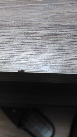 VID_20250718_224810.mp4