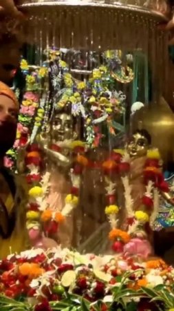 Abhishek on Radhastami festival in Mayapur Dham #mayapur #festival #Abhishek #shorts