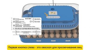 Автоматический инкубатор HHD 70H c универсальным поддоном и с точным контролем влажности
