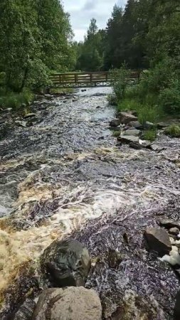 Карелия. Питкяранта. Водопад Нижний Койриноя. Karelia. Pitkyaranta. Lower Koirinoya Waterfall (6)
