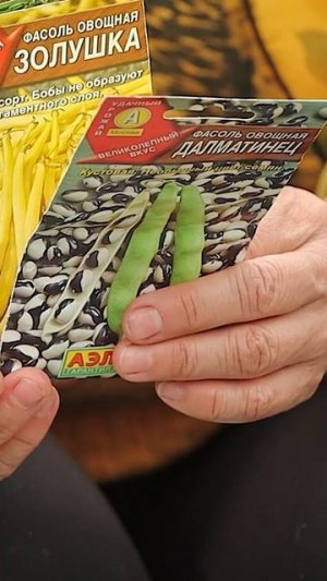 Повторный посев гороха и фасоли!