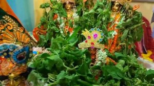 Sri Krishna Janmastami in Mayapur Dham