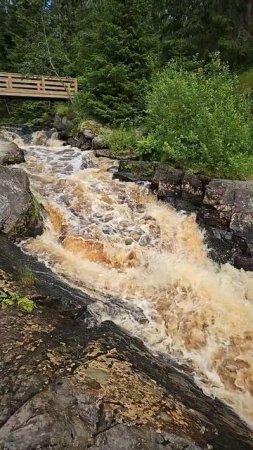 Карелия. Питкяранта. Водопад Нижний Койриноя. Karelia. Pitkyaranta. Lower Koirinoya Waterfall (1)