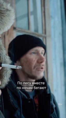 Сериал: «Территория»