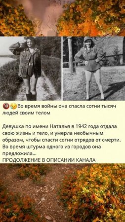 Во время войны она спасла сотни тысяч людей своим телом_O