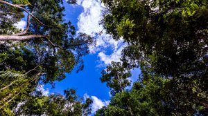 ТЕРРИТОРИЯ БОГА 🙏🔥