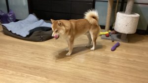 Я играю с Джеком.