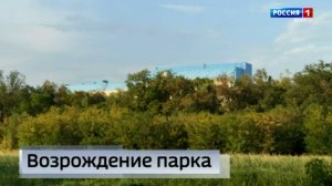 Парк имения А.С. Пушкина превратился в заросшие руины