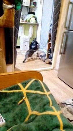 наша радость пошла на поправку