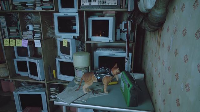 STRAY #5 {PS5} ПРОХОЖДЕНИЕ НА РУССКОМ ЯЗЫКЕ ( БЕЗ КОММЕНТАРИЕВ) STRAY WALKTHROUGH NO COMMENTARY PS5 смотреть онлайн