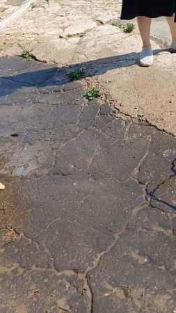 Вуля