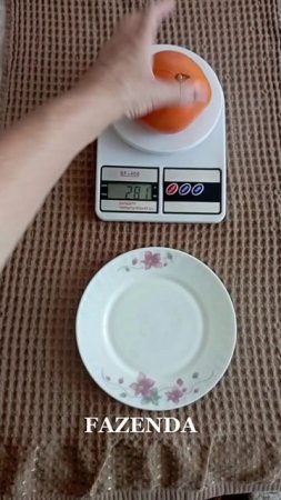 Первый урожай томатов 🍅