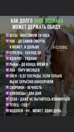 Самый правдивый гороскоп! 
Овны никогда и ни на кого не держат обиду! 
РАСПРОСТРАНИТЕ!