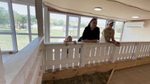 Обзор ферма альпак.