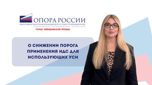 Снижение порога применения НДС для использующих УСН | Чем опасно?