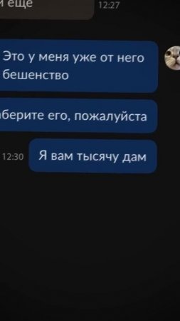 Отдал известного кота бесплатно