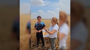 Династия хлеборобов / уборочная страда / новости апк / сельское хозяйство