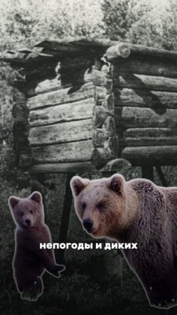 Избушки на курьих ножка были на самом деле