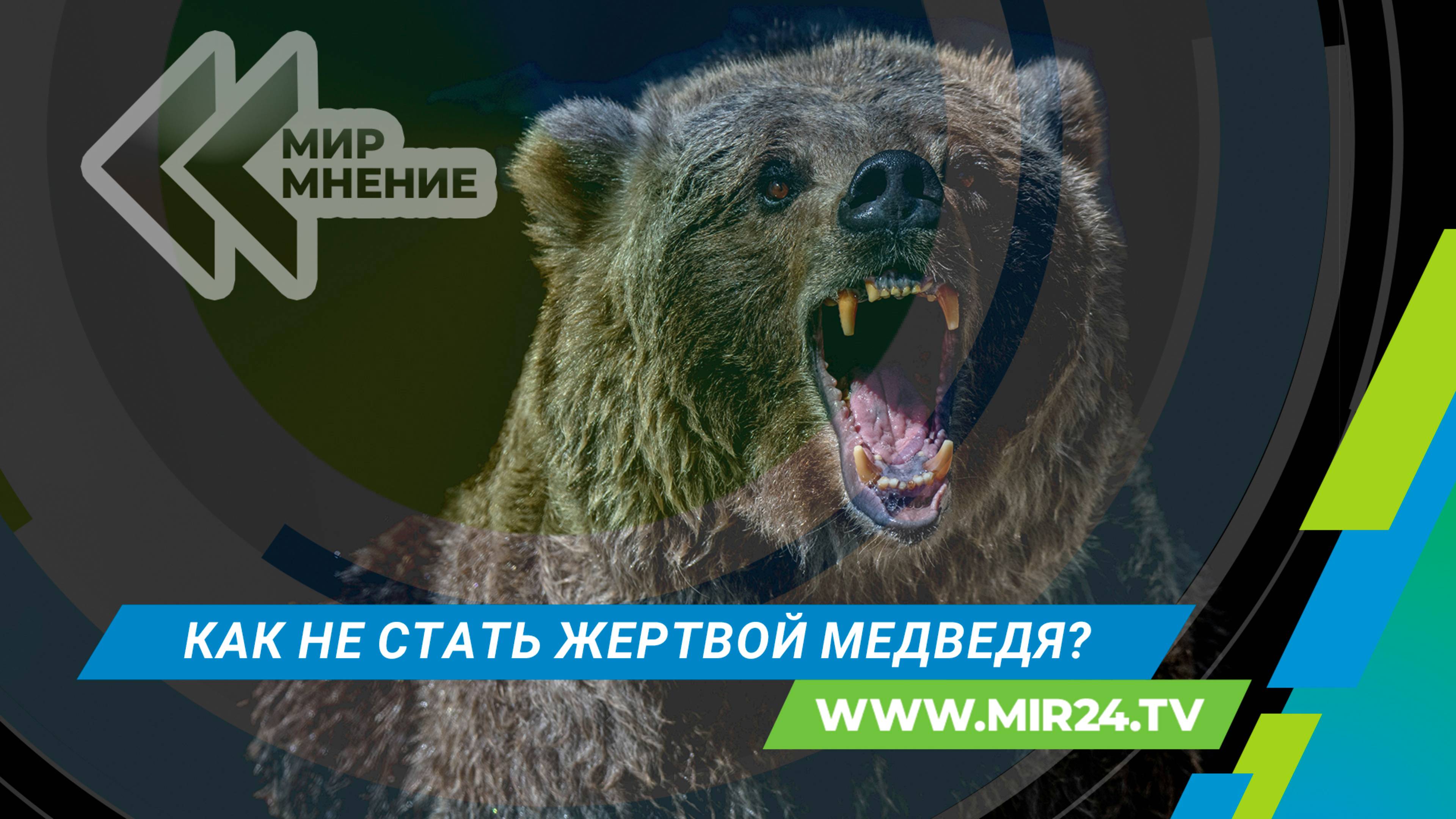 Нападение медведя: как избежать смертельной схватки?