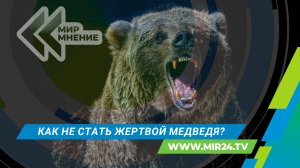 Нападение медведя: как избежать смертельной схватки?