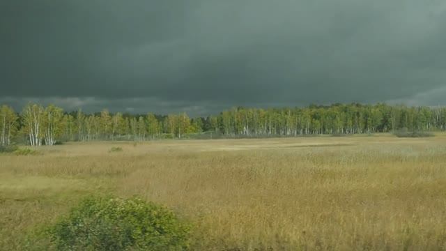 Новосибирск - Барабинск, вид из окна поезда (Транссибирская магистраль).