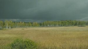 Новосибирск - Барабинск, вид из окна поезда (Транссибирская магистраль).