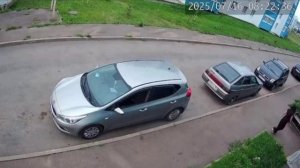 Девушка опоздала на работу, потому что её преследовал котёнок — настойчивый пушистик лез в машину