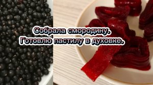 18-07-2025Собрала смородину.Готовлю пастилу в духовке.