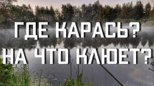 Где карась? На что клюет? На что ловить в пруду летом???