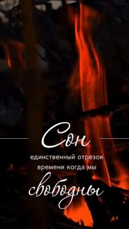 Сон