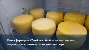Семья фермеров в Тамбовской области на средства соцконтракта развивает производство сыра