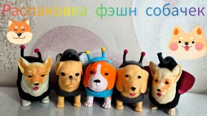 🎀 РАСПАКОВКА ФЭШН СОБАЧЕК 🎀!  КотоКсю 🐱