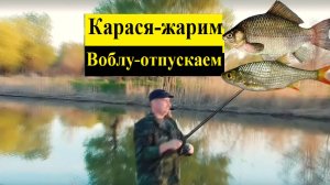 🔥Воблу отпускаем - Карася ЖАРИМ 🔥на Волге честно рыбачим!! Рыбалка в Астрахани-2025 🔥