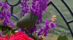 Рассказы. Любовь обернулась болью. Истории новые