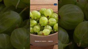 6 рецептов варенья из крыжовника для жителей Оренбургская области