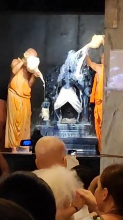 Part 1 Narasimha Dev Panchamrita Abhishek  30,8,2023 #mayapur #narasimha #Dev #abhishek #shorts