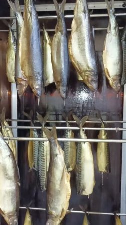 Сельдь и скумбрия в коптильне