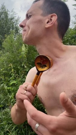 Меломаны